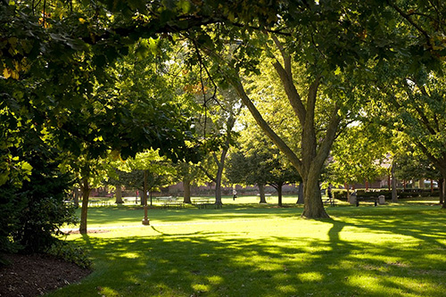 Lewis University - 30 Online Schools for Computer Science Degrees