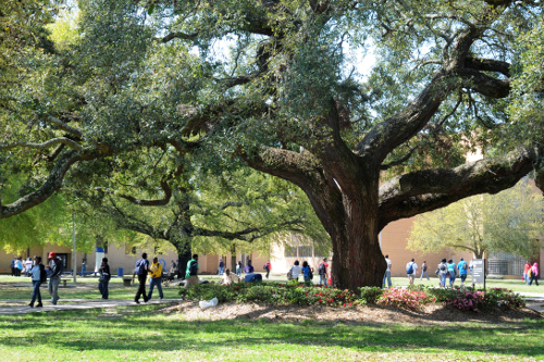 Southern University and A&M College - 30 Online Schools for Computer Science Degrees