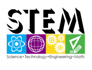 what-is-a-stem-degree